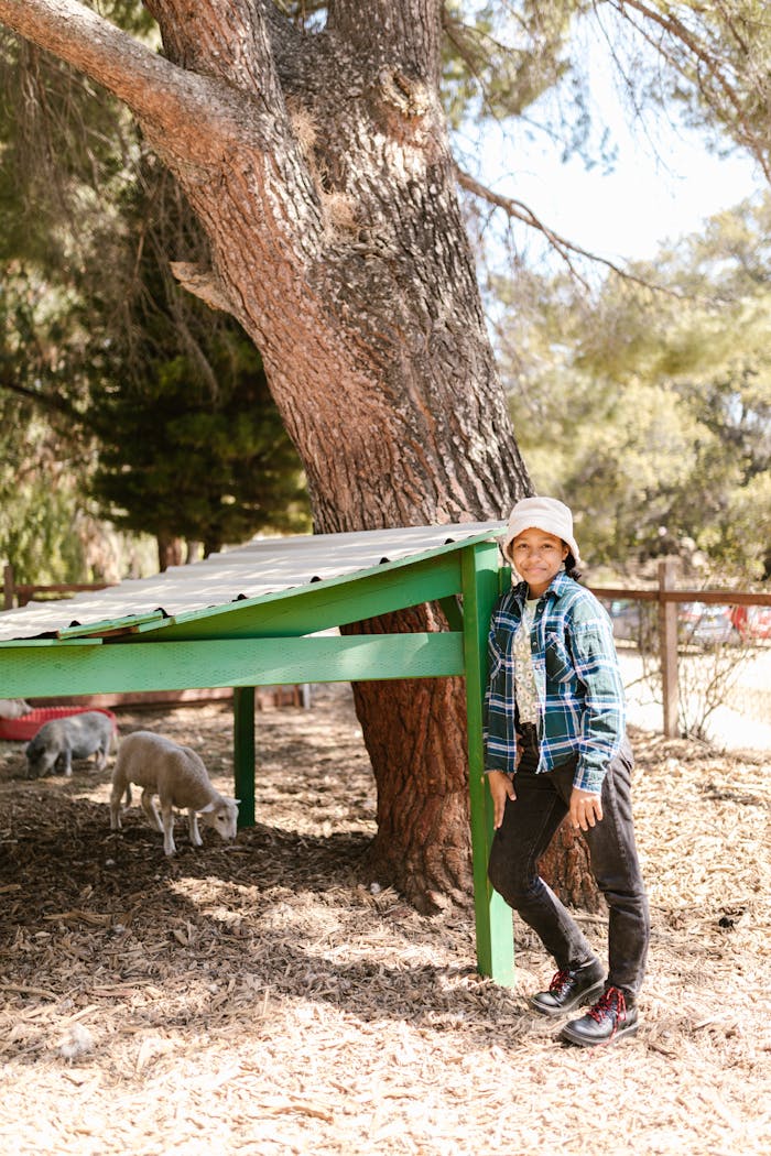 Girl standing by sheep on a farm, enjoying a sunny day outdoors with farm animals.